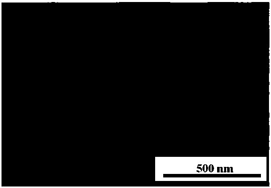 Preparation method and application of self-supporting transition metal compound-based multilevel structure electrode material