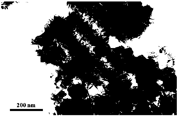 Preparation method and application of self-supporting transition metal compound-based multilevel structure electrode material