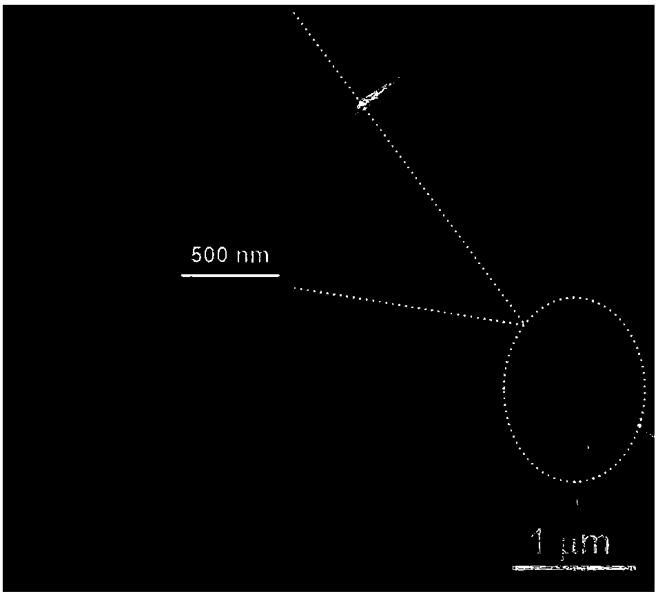 Silver nanowire mesh-reduced graphene oxide combined electrode and preparation method thereof