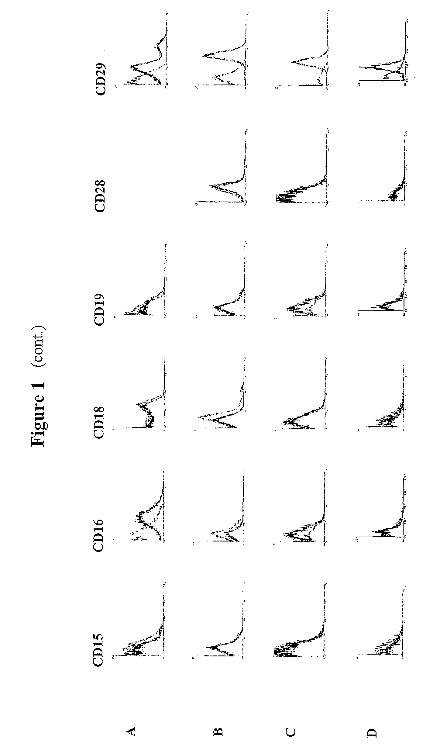 Identification and Isolation of Multipotent Cells From Non-Osteochondral Mesenchymal Tissue