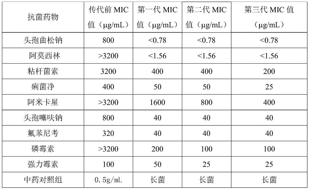 Composition containing epimedium herb and colistin and used for livestock and poultry, and preparation method thereof