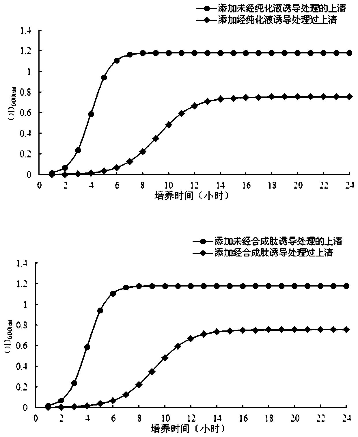 Polypeptides and extracellular metabolites of Lactobacillus plantarum and their application, method and identification method for inducing Lactobacillus plantarum to produce bacteriocin