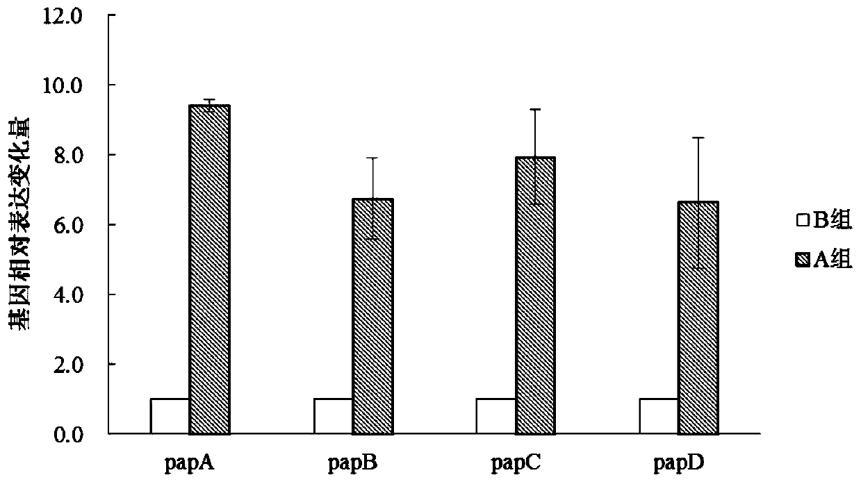 Polypeptides and extracellular metabolites of Lactobacillus plantarum and their application, method and identification method for inducing Lactobacillus plantarum to produce bacteriocin