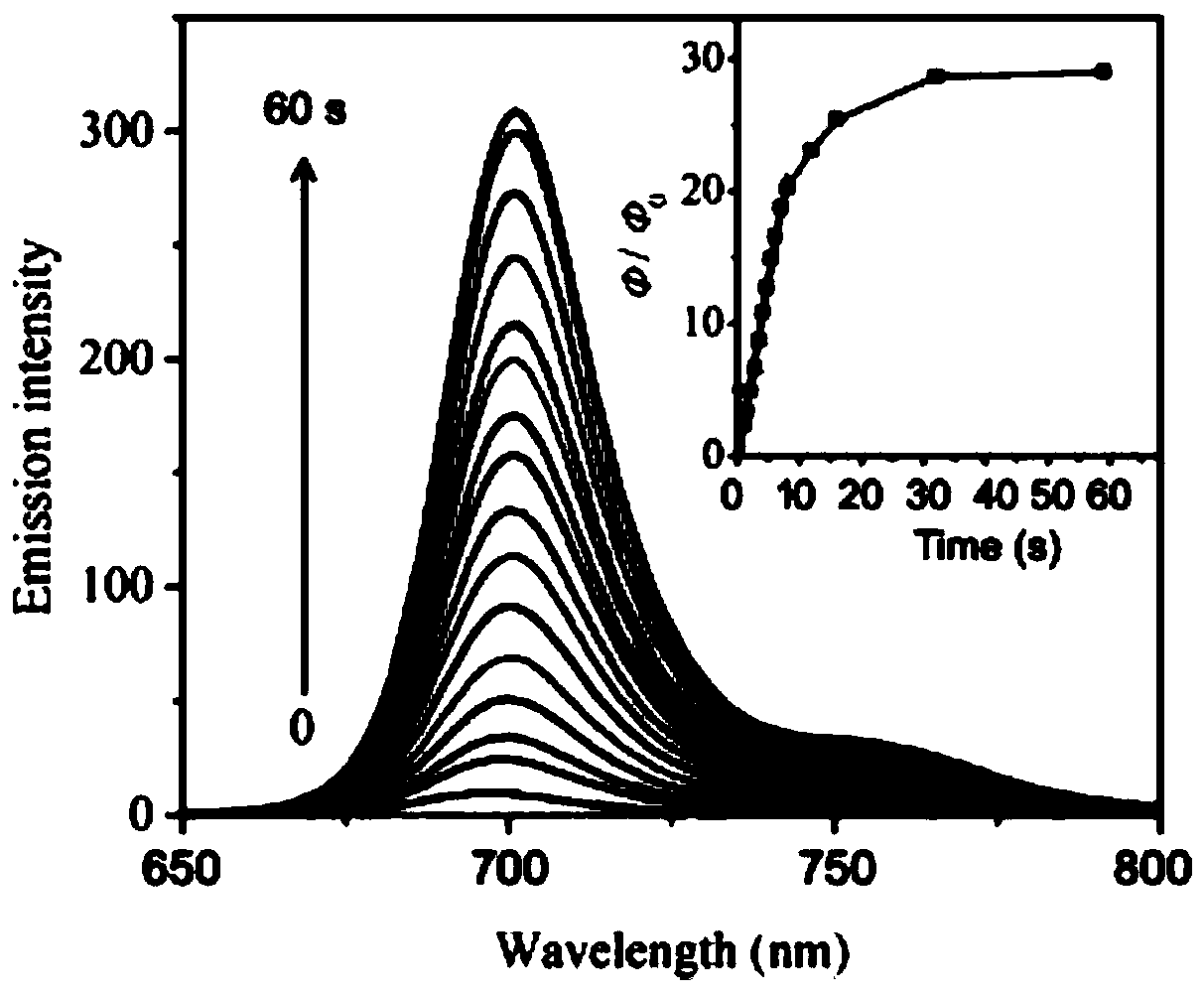 Near infrared fluorescent polymer probe for recognizing hydrazine as well as preparation method and application thereof