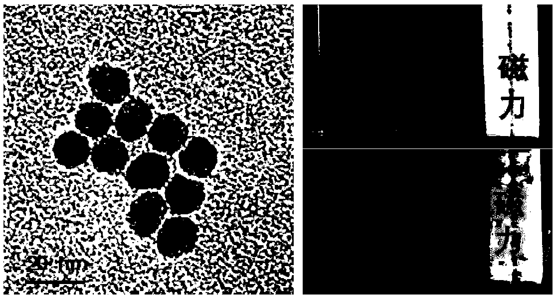 Magnetic nanomaterial-mediated CRISPR/Cas9 T-cell internal delivery system and preparation method and application thereof