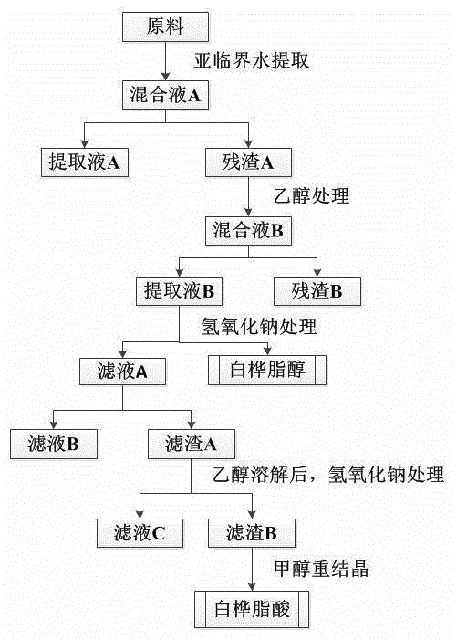 Method for extracting betulinic acid by subcritical water