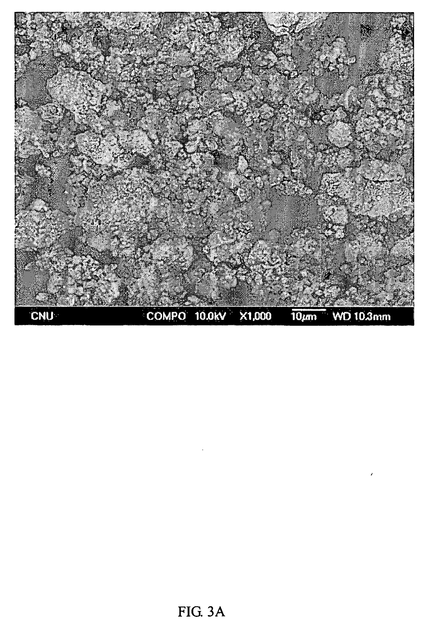 Anode active material hybridizing carbon nanofiber for lithium secondary battery