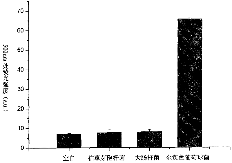 Fluorescent probe and method for rapidly detecting staphylococcus aureus by using same