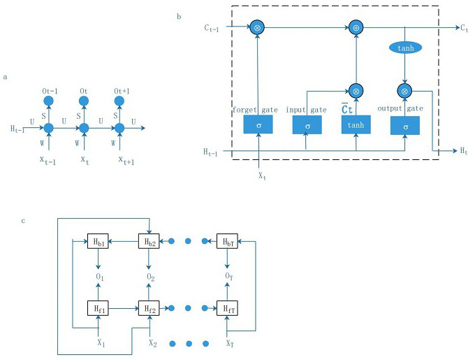 Lysine succinylation modification prediction method based on bidirectional long-short term memory and convolutional neural network