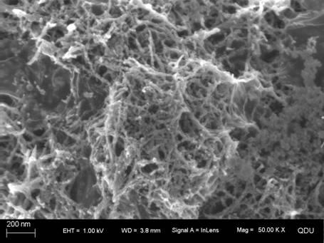 Method for improving dye adsorption capacity of latex particle extract of latex wastewater