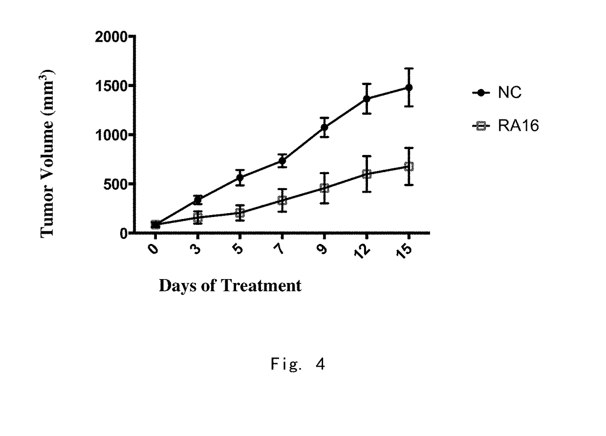 Ribonucleic Acid Aptamer Having Inhibitory Effect on Non-small Cell Lung Cancer and Pharmaceutical Composition Comprising Same