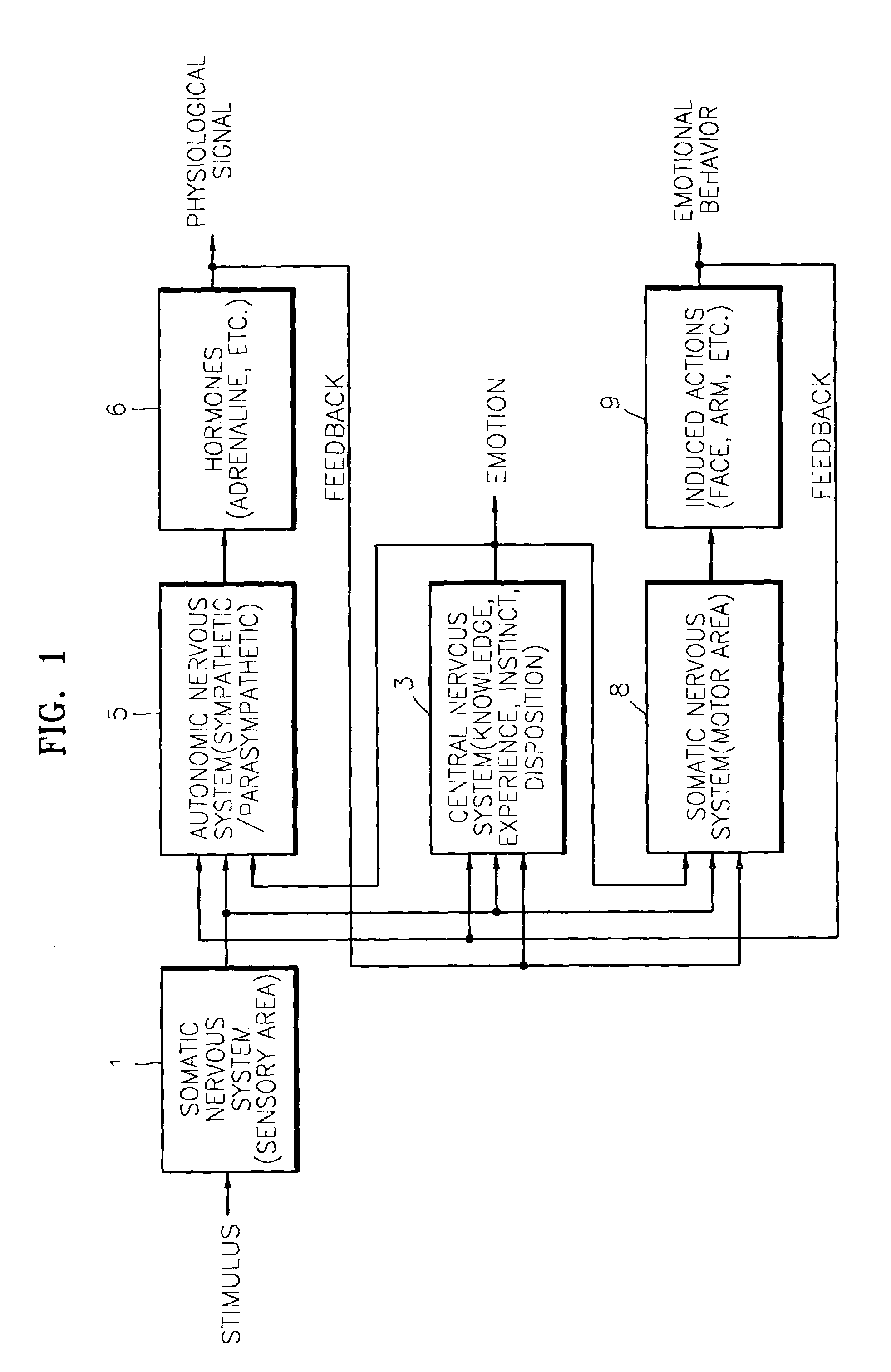 Apparatus and method for synthesizing emotions based on the human nervous system