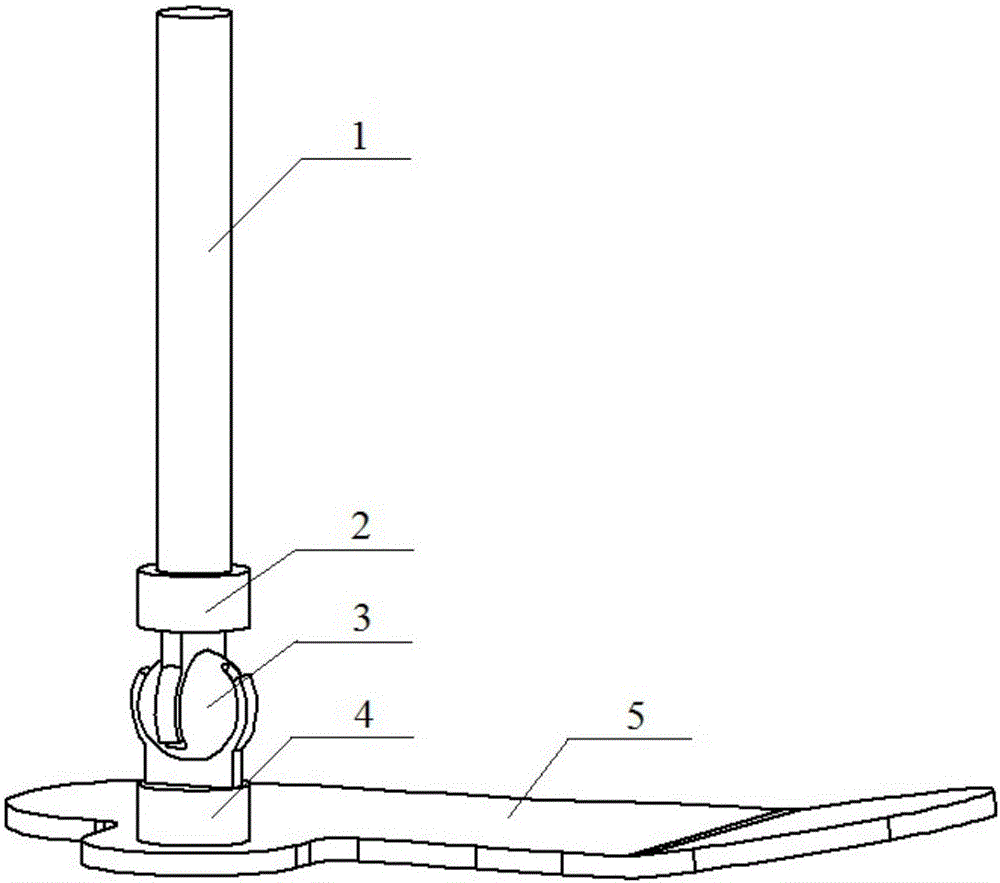 Two-freedom-degree limiting exoskeleton ankle joint and application thereof