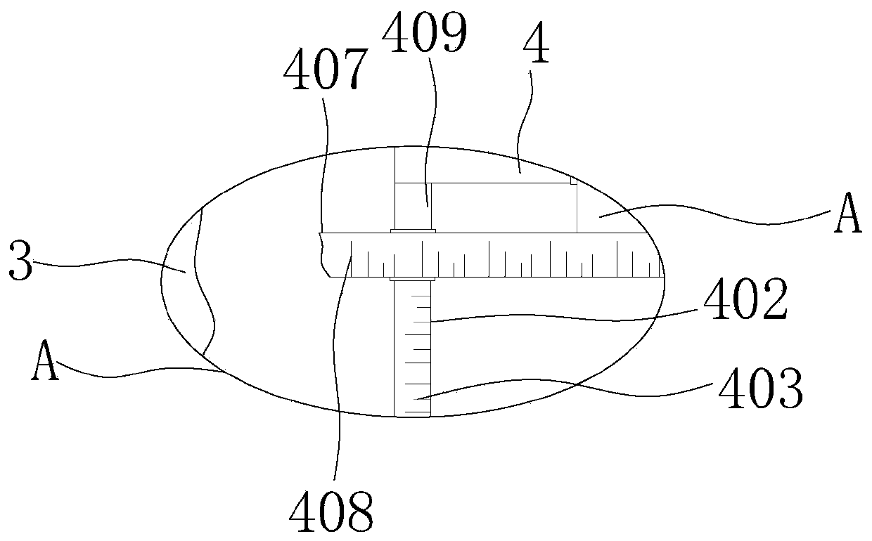 Detection device for automatic packaging machine