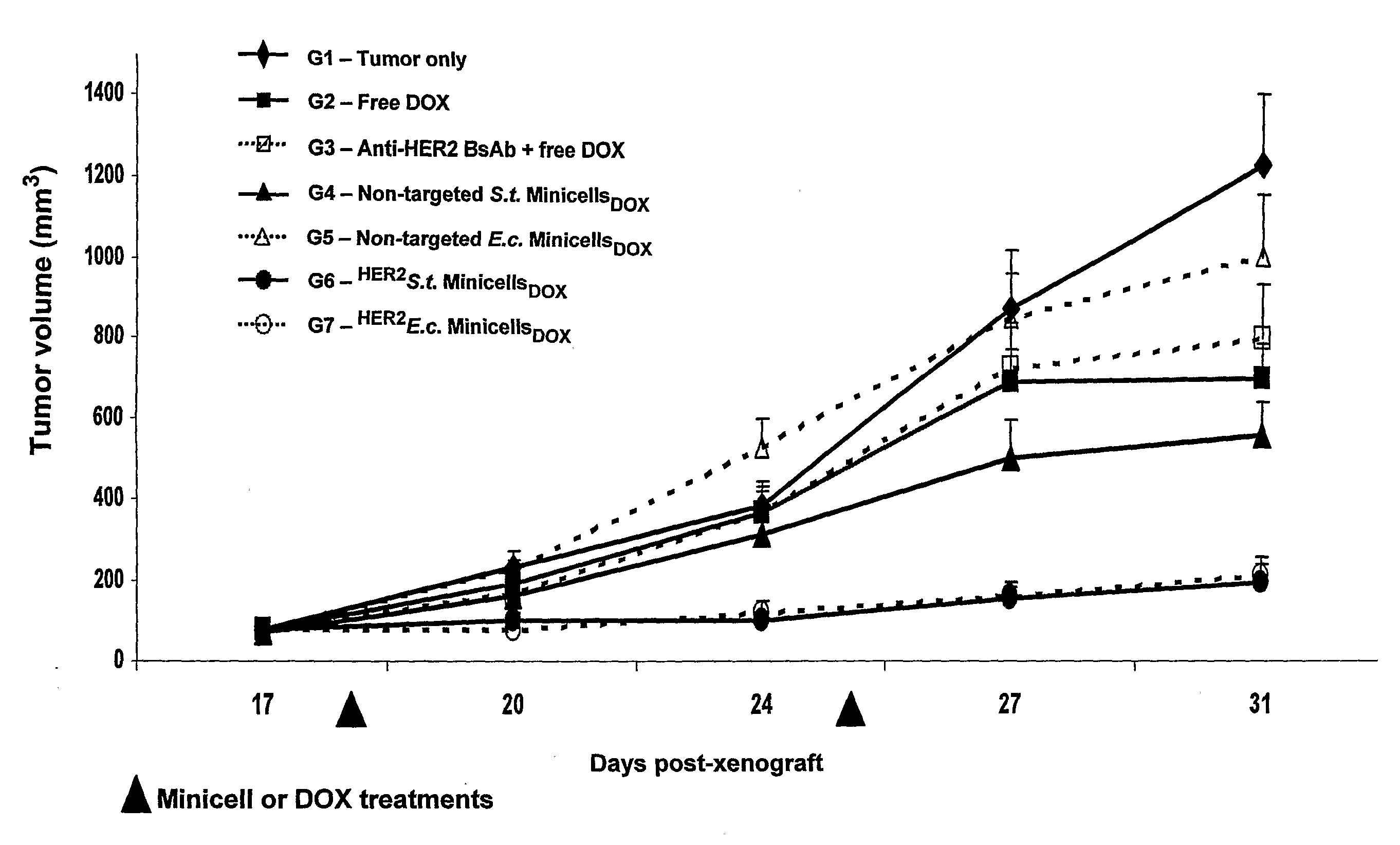 Compositions and Methods for Targeted in Vitro and in Vivo Drug Delivery to 
Mammalian Cells Via Bacterially Derived Intact Minicells