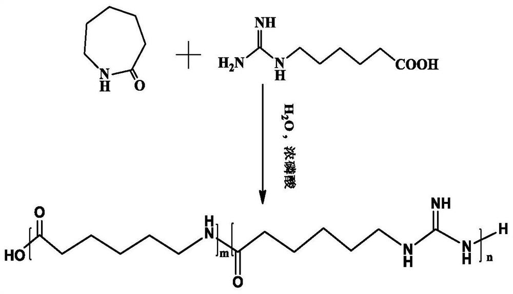 Antibacterial nylon 6 containing guanidyl group and preparation method thereof