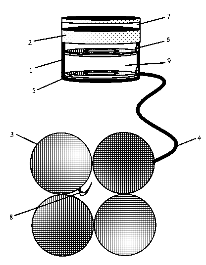 Solar heating lunch box