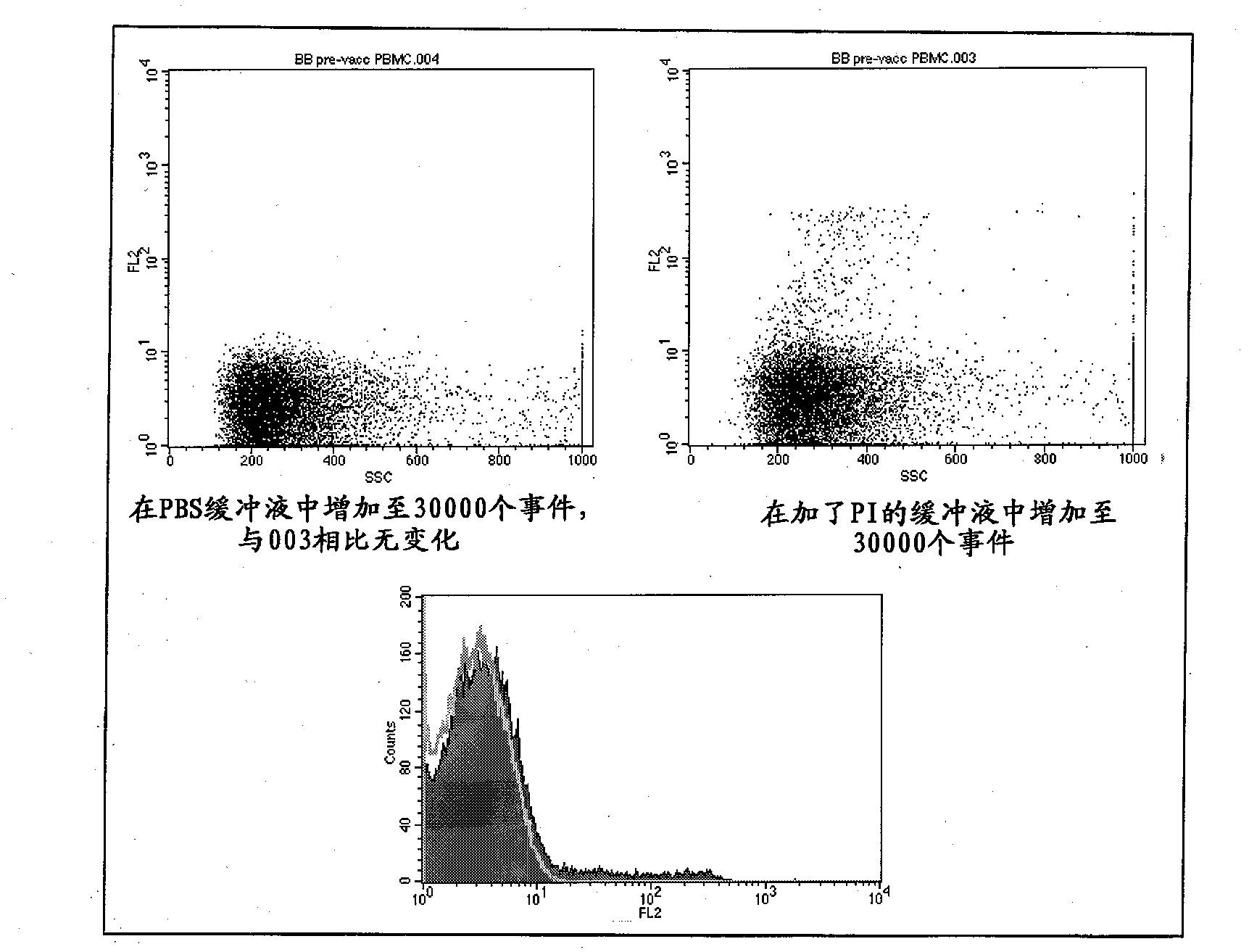 Separation of antigen-specific memory b cells with a conjugated biopolymer surface