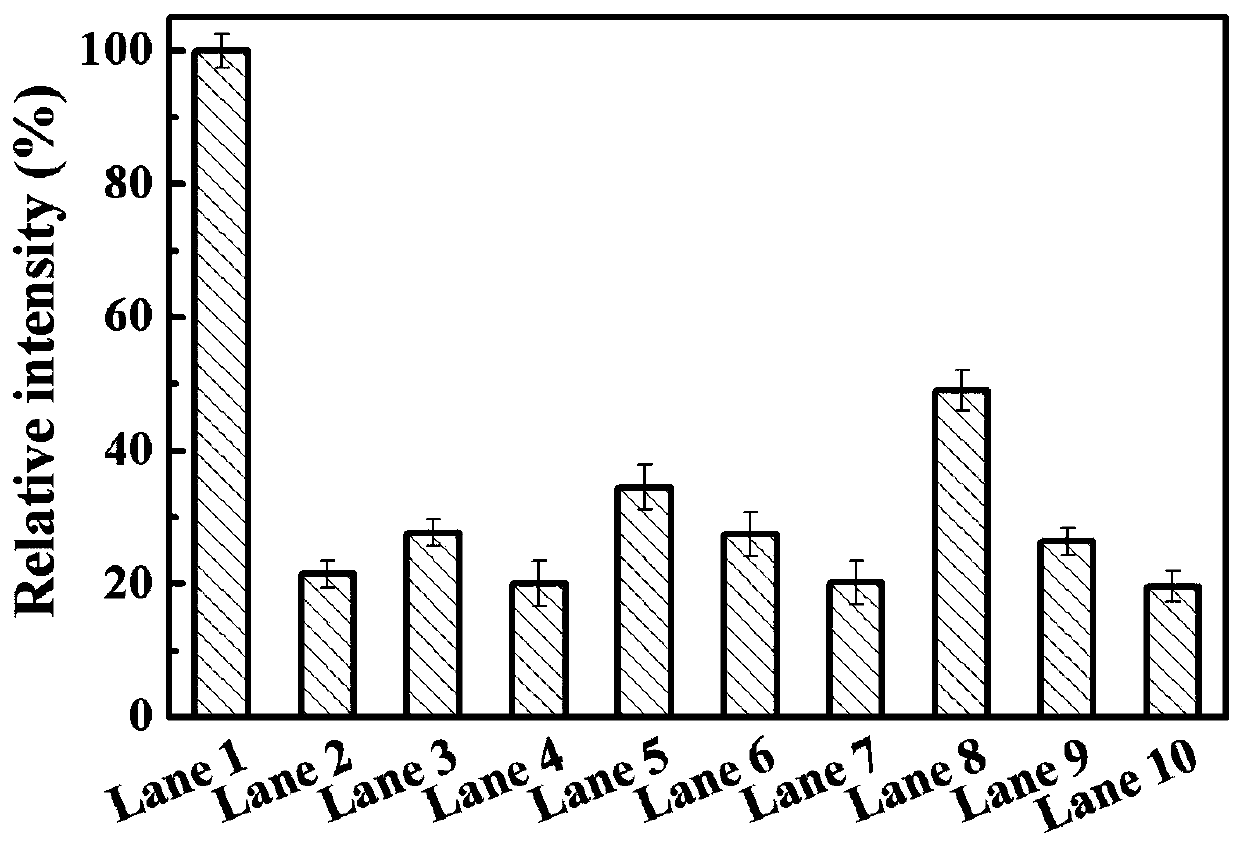 Multi-point immobilization method based on modification of enzyme with unnatural amino acid