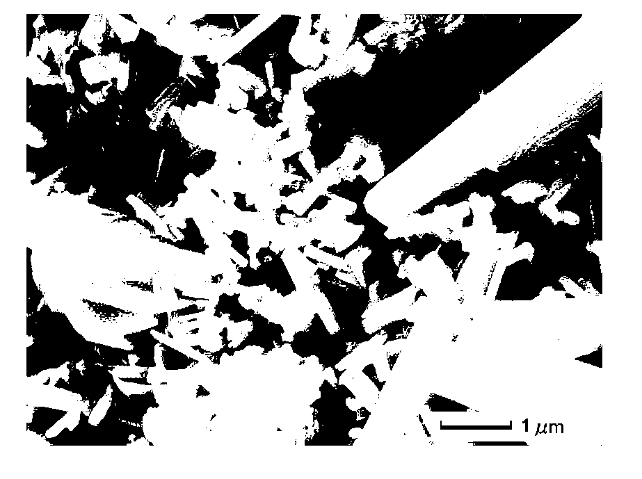 Preparation method of graphite-bi-selenylation niobium nanocomposite