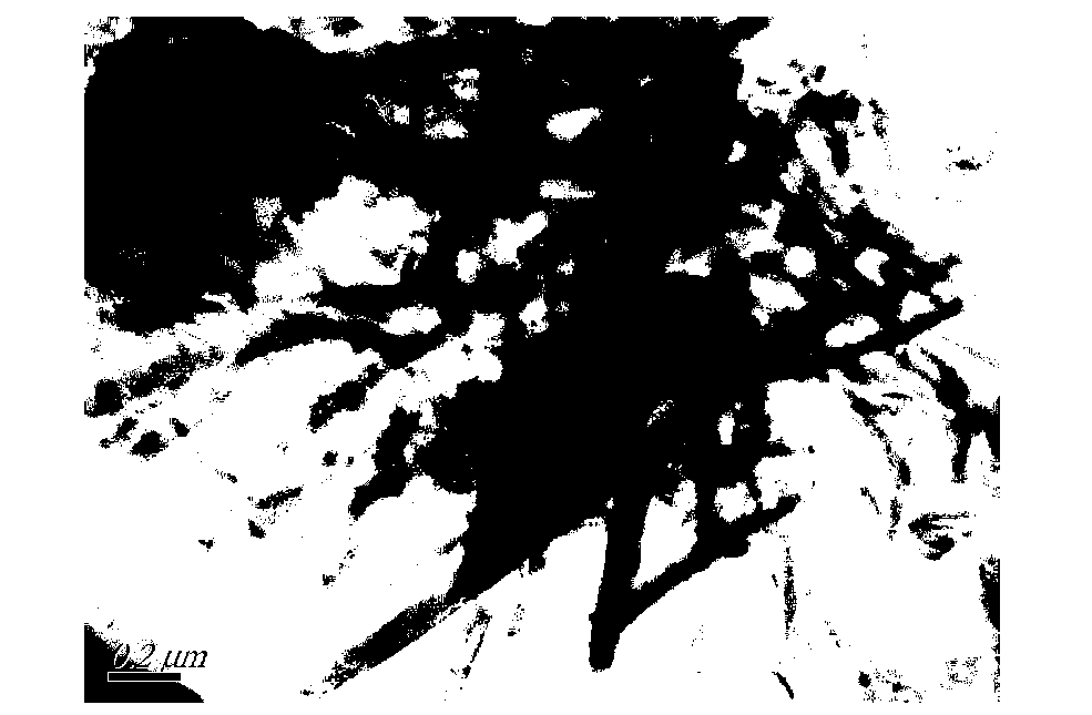 Preparation method of graphite-bi-selenylation niobium nanocomposite