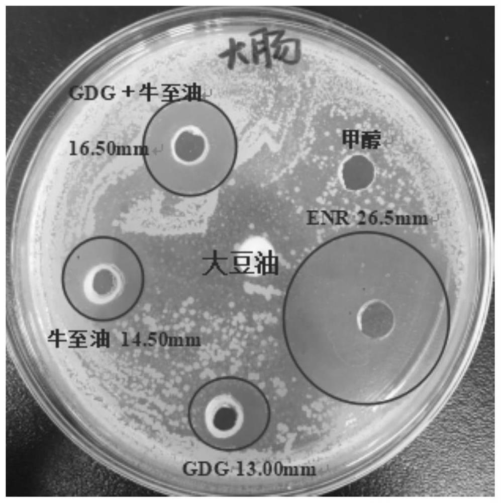 A non-antibiotic colitis repair preparation