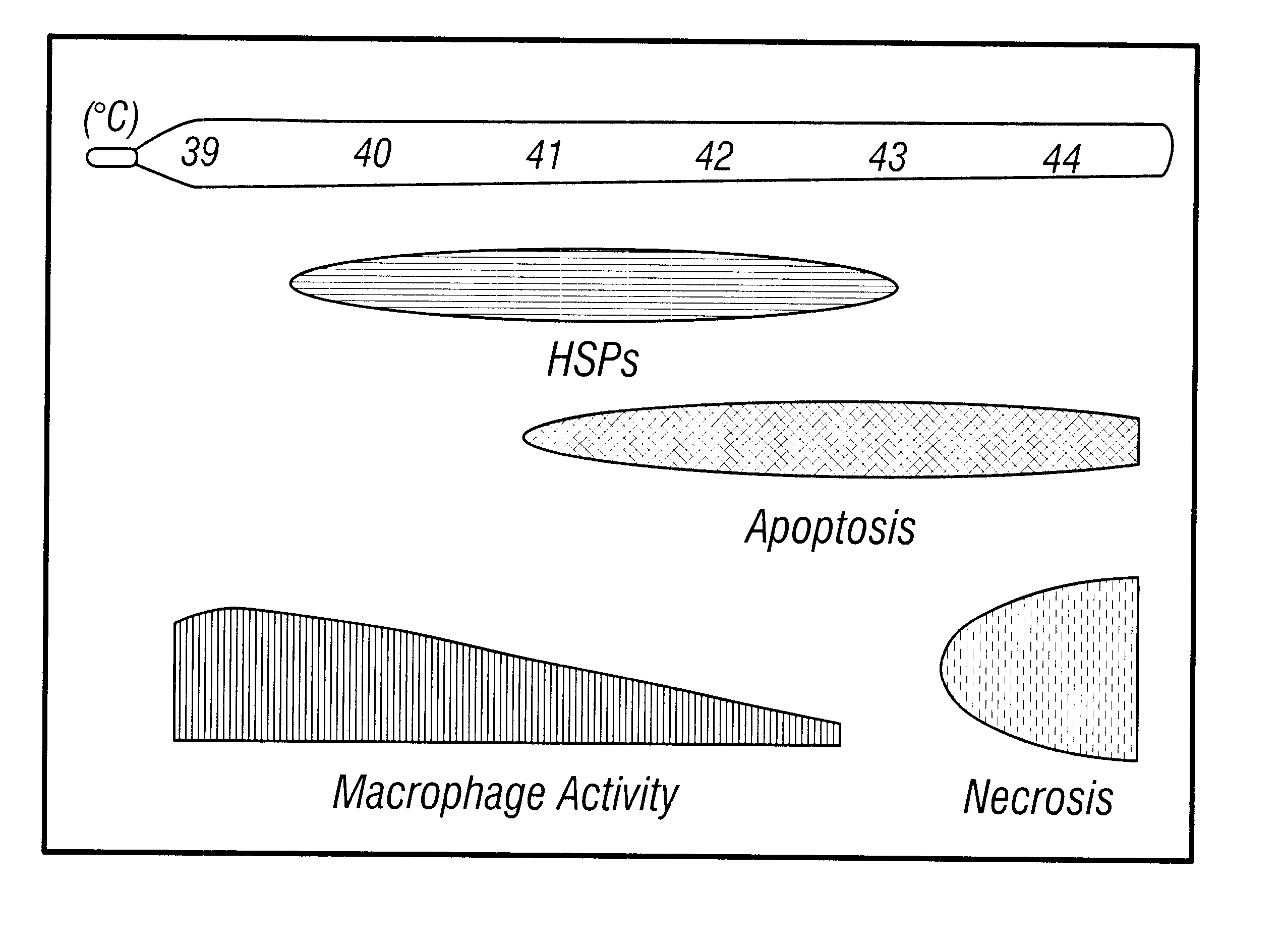 Method and apparatus for heating inflammed tissue