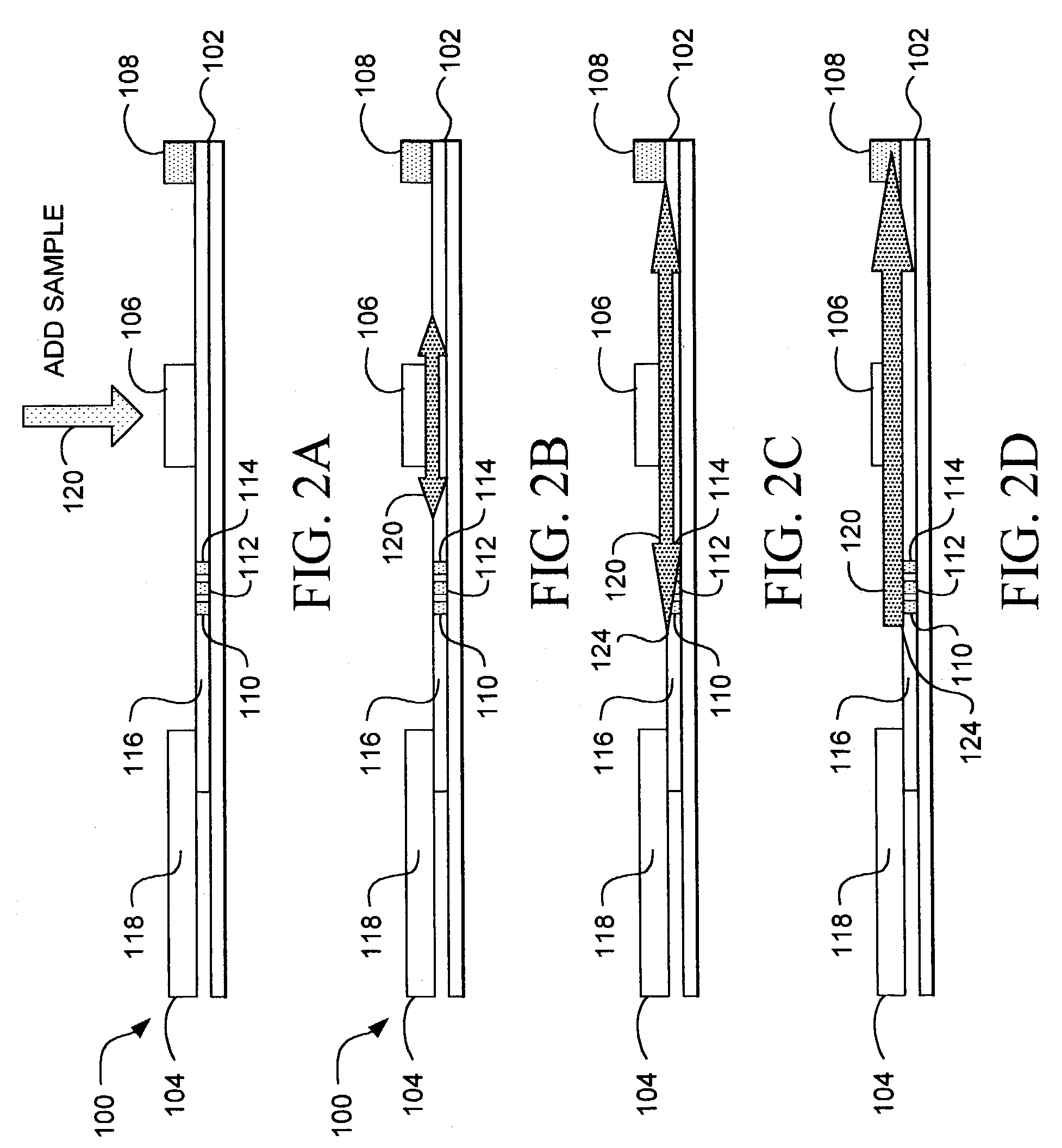 Bidirectional lateral flow test strip and method