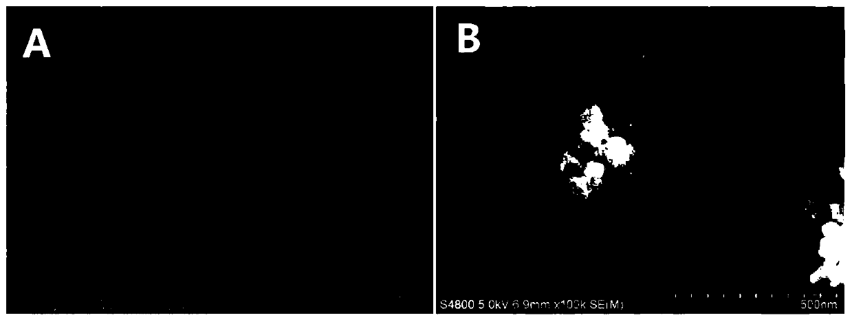 A controllable preparation method and application of polylactic acid/hydroxyapatite composite microsphere surface porous structure