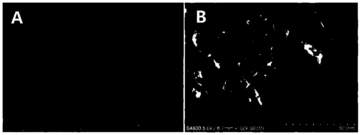 A controllable preparation method and application of polylactic acid/hydroxyapatite composite microsphere surface porous structure