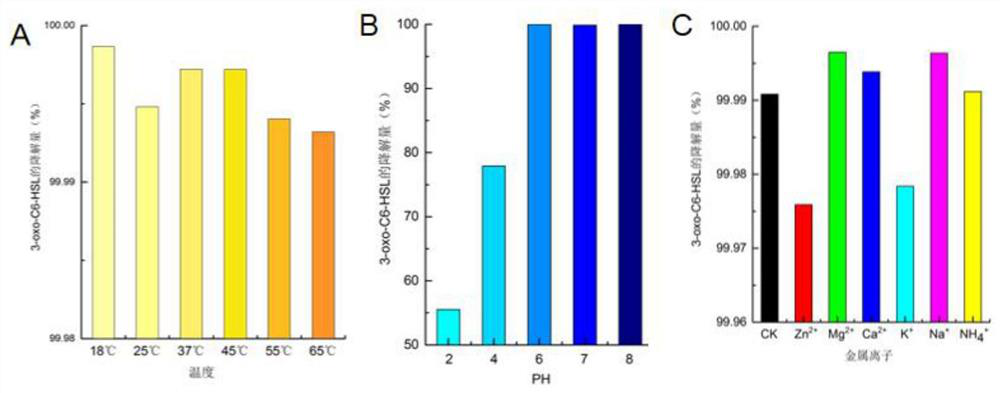 Bacillus velezensis YtnP-homologous lactonase, gene and application thereof