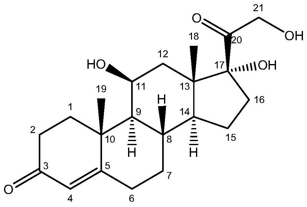 Steroidal 11β-hydroxylase from Curvularia lunae and its coding gene and application