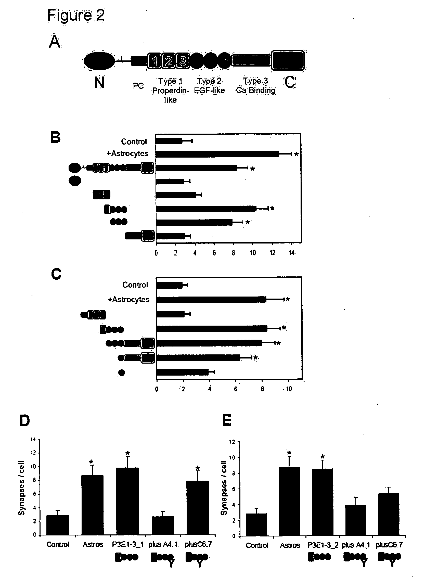 Modulation of synaptogenesis