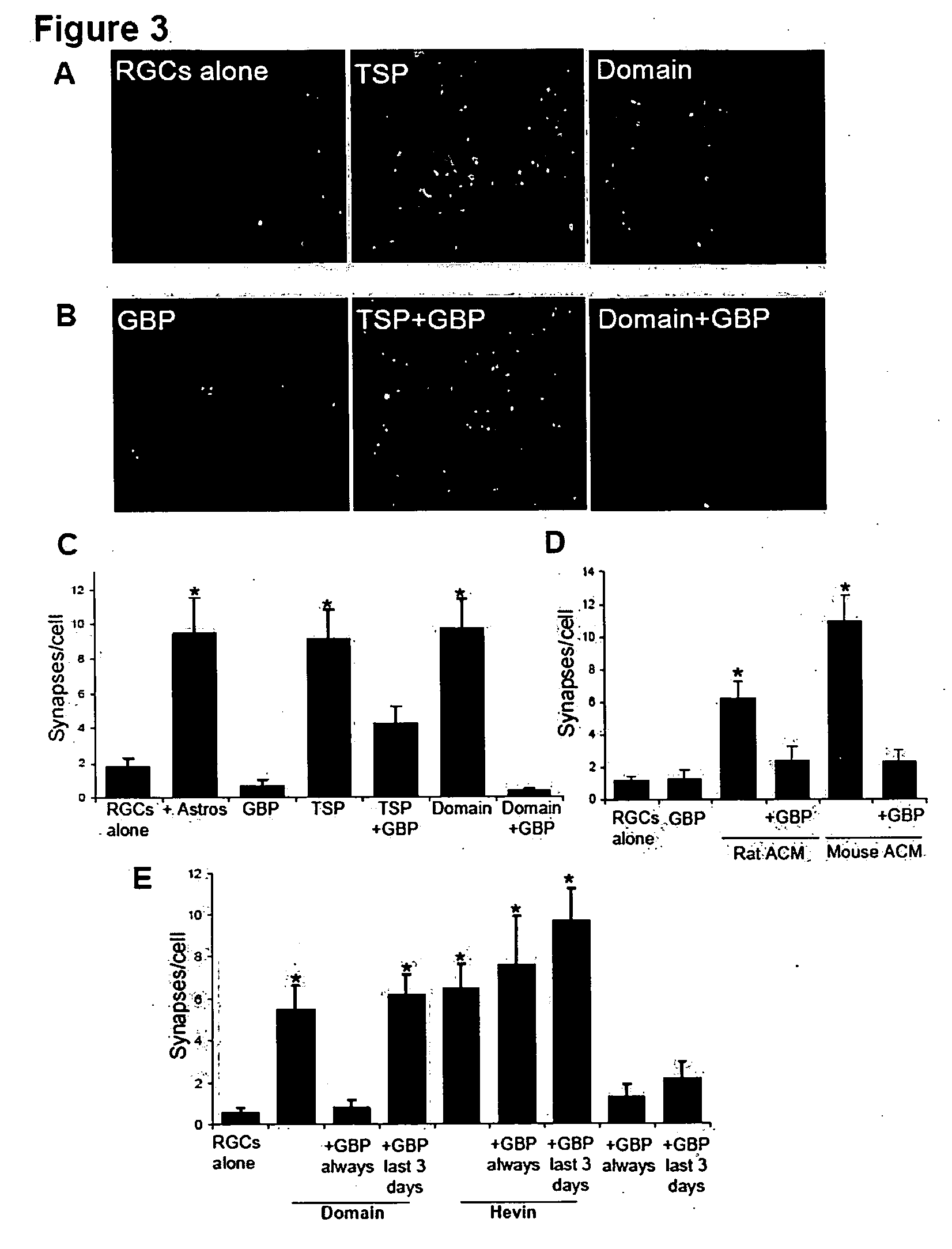 Modulation of synaptogenesis