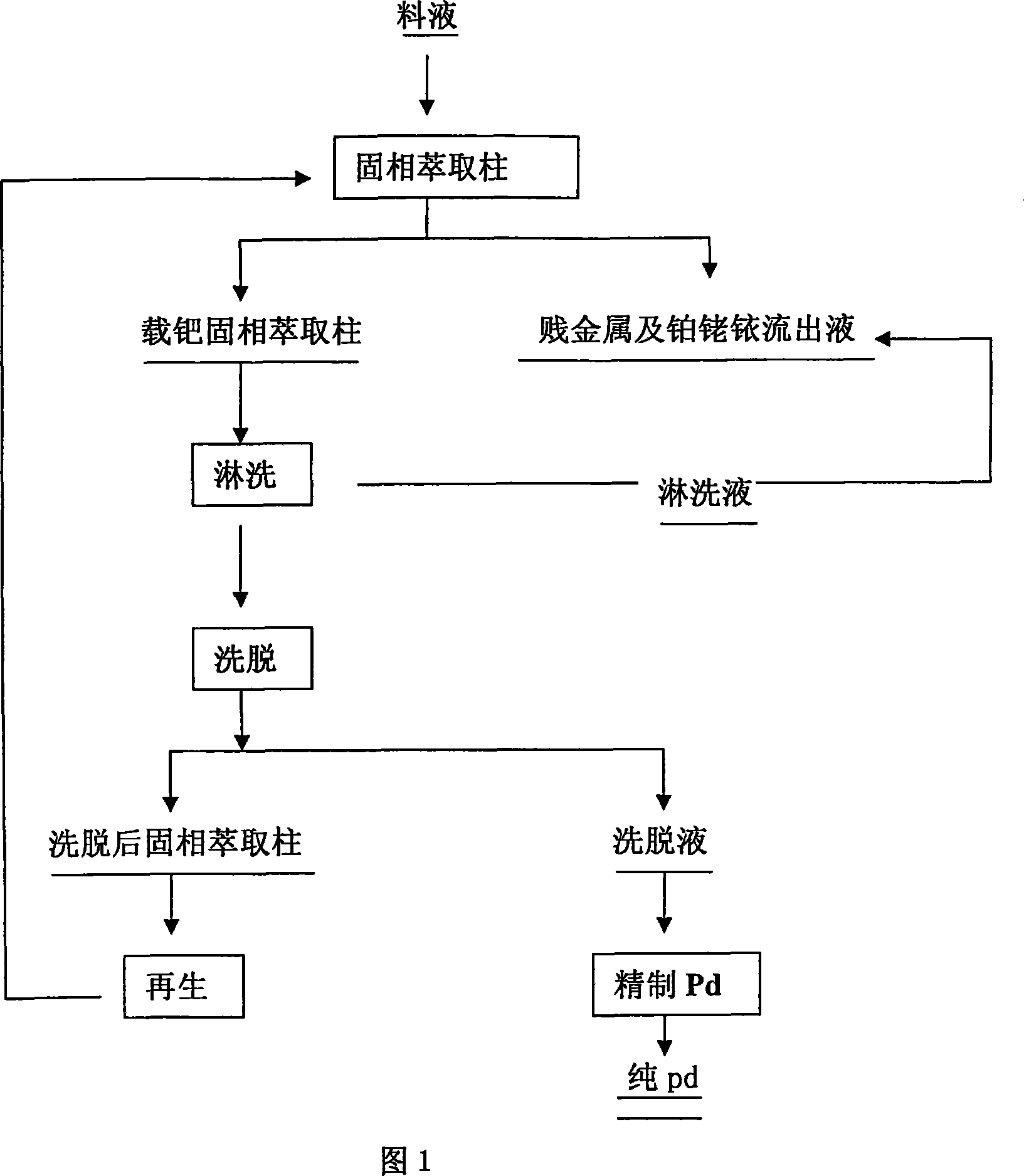 Solid phase extraction process for extracting and separating palladium