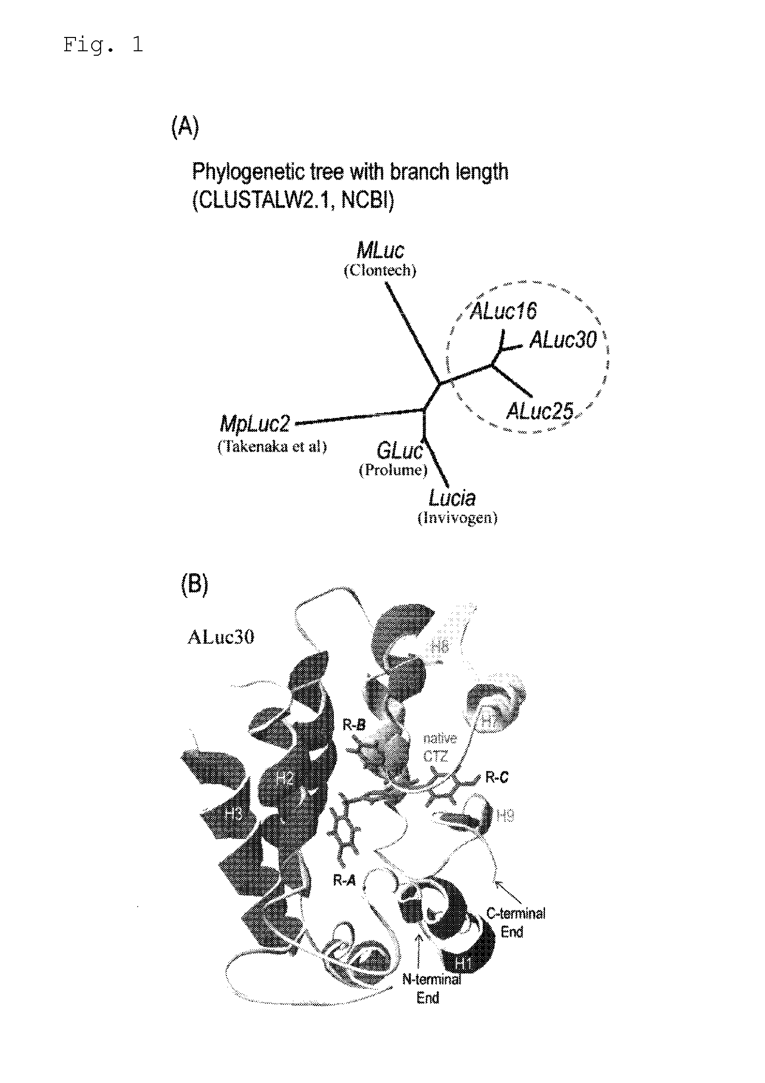 Luminescent substrate for use in artificial bioluminescent enzyme