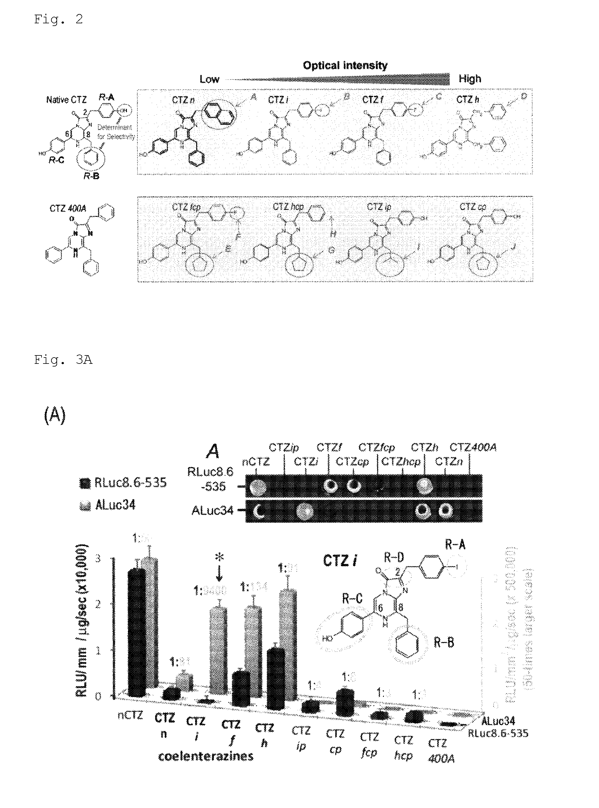 Luminescent substrate for use in artificial bioluminescent enzyme