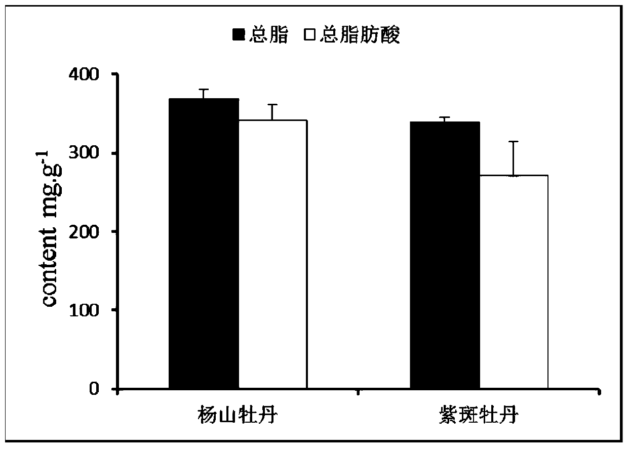 A method for rapid extraction and separation of lipid components in peony seeds