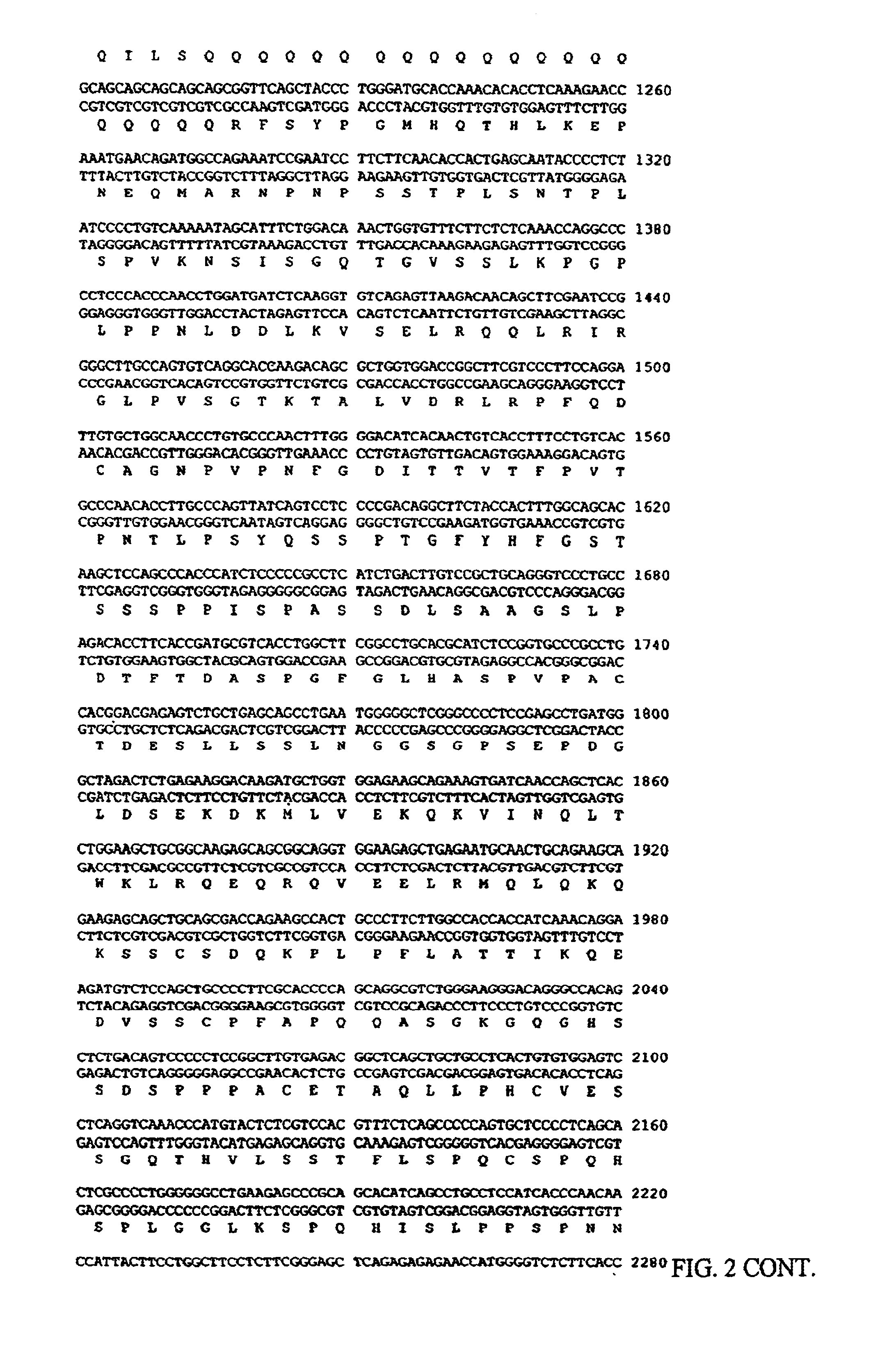 Methods and compositions relating to a cardiac-specific nuclear regulatory factor