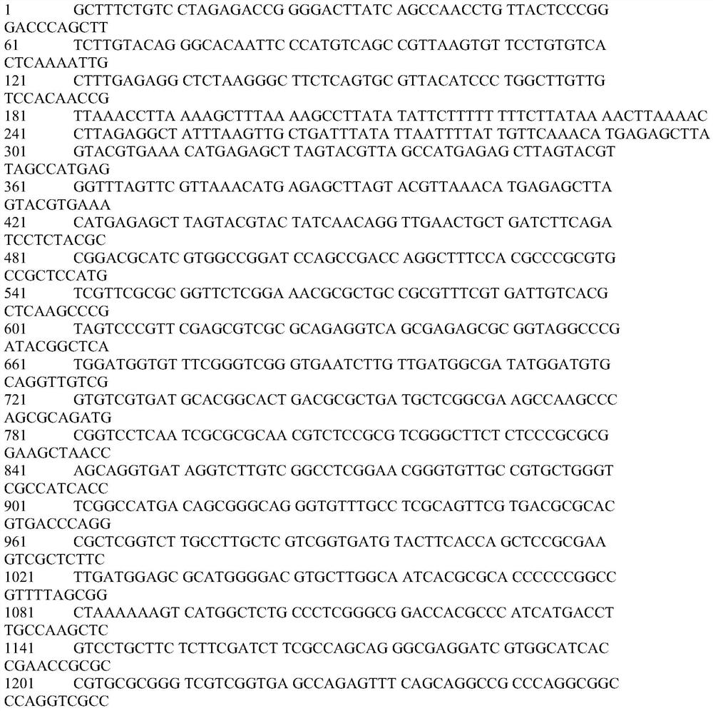 Construction system of novel transposon mutant strain library