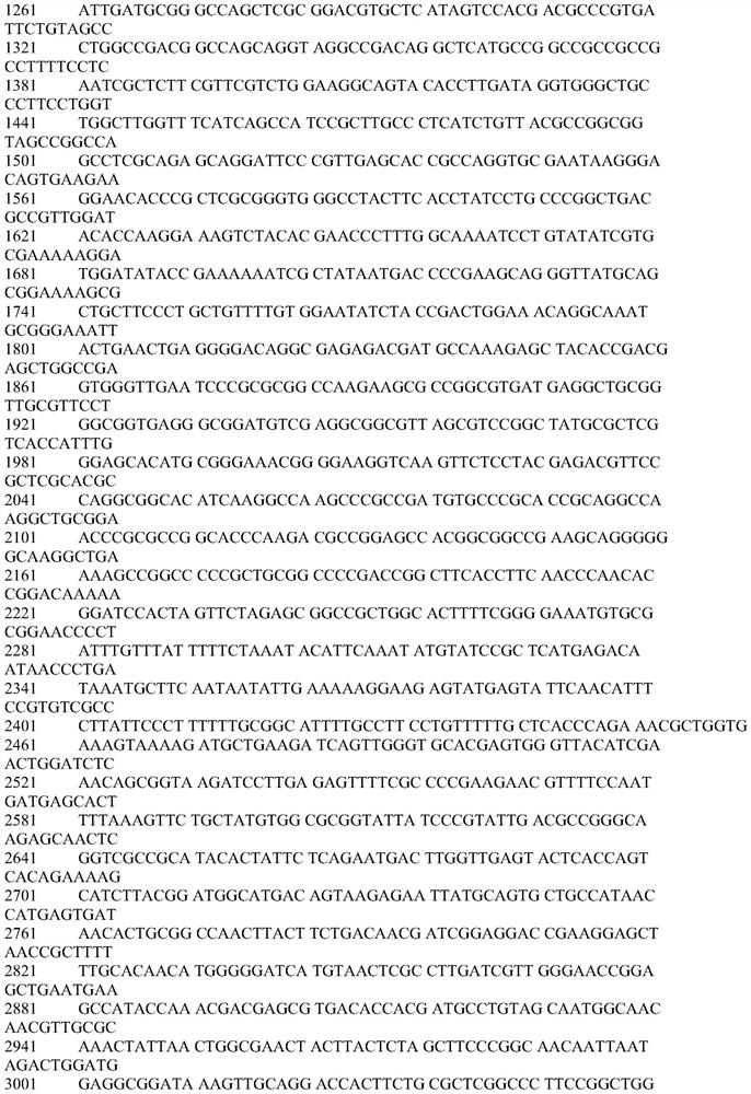 Construction system of novel transposon mutant strain library