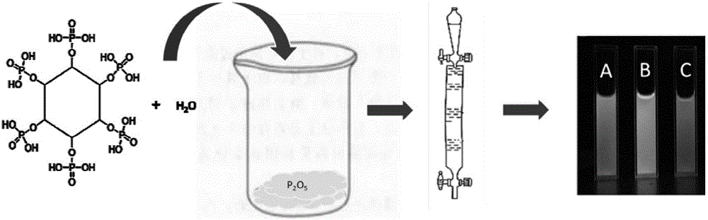 Preparation method and application of phosphorus-doped fluorescent carbon quantum dots