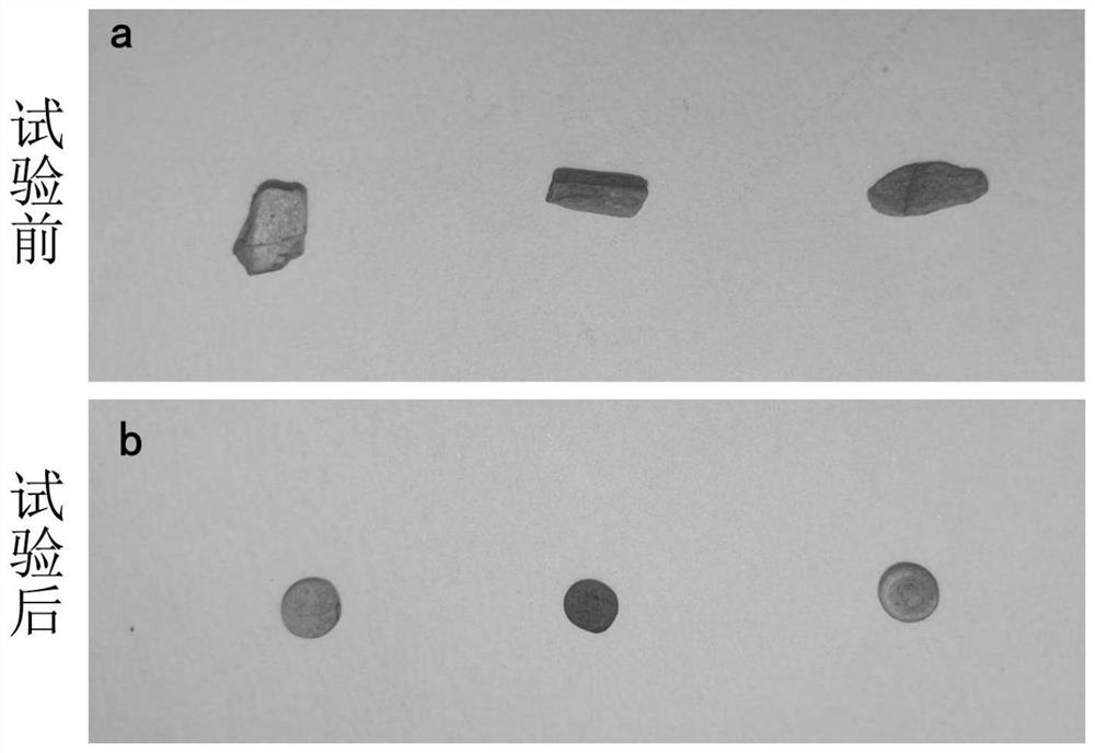 Serratia X-45 for improving abundance of indigofera pseudotinctoria probiotic microorganisms and application of