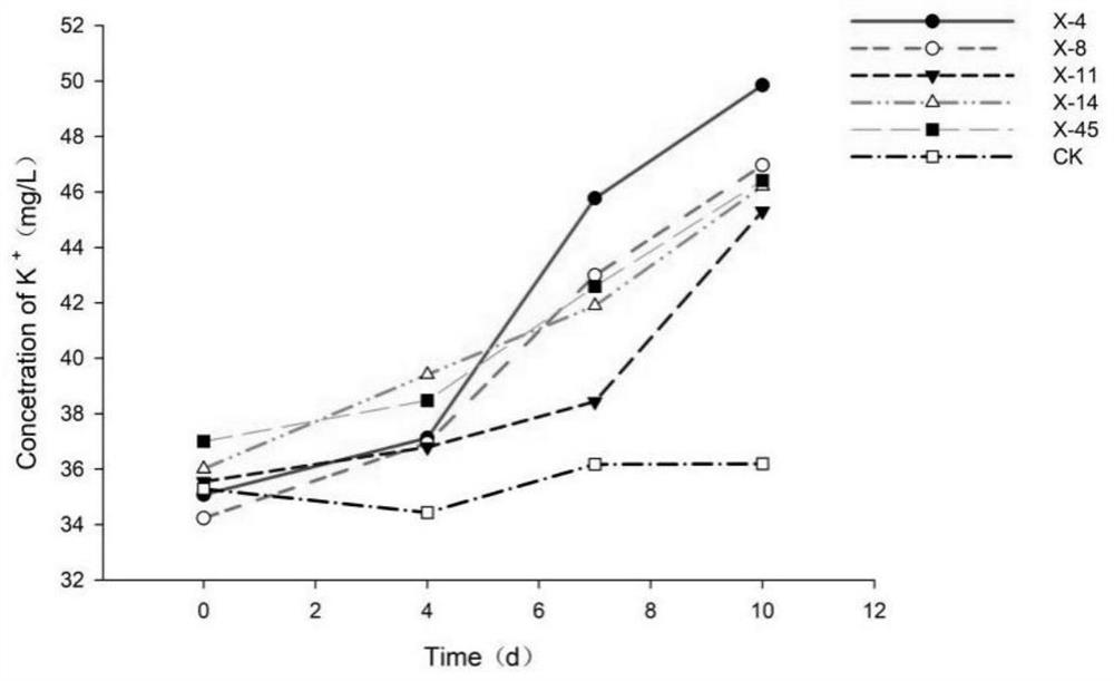 Serratia X-45 for improving abundance of indigofera pseudotinctoria probiotic microorganisms and application of