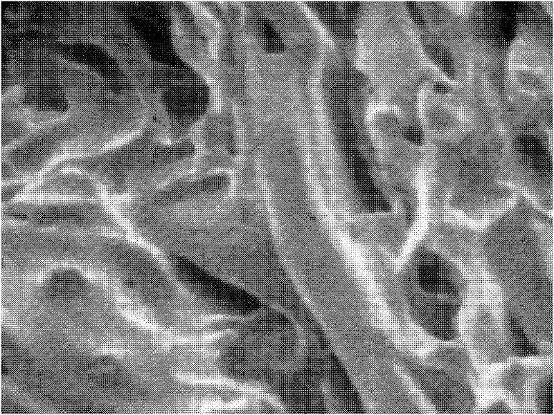 Preparation method of copolymer, and copolymer prepared by same and application thereof in water treatment