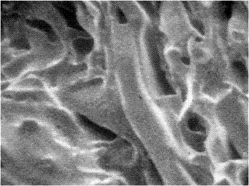 Preparation method of copolymer, and copolymer prepared by same and application thereof in water treatment