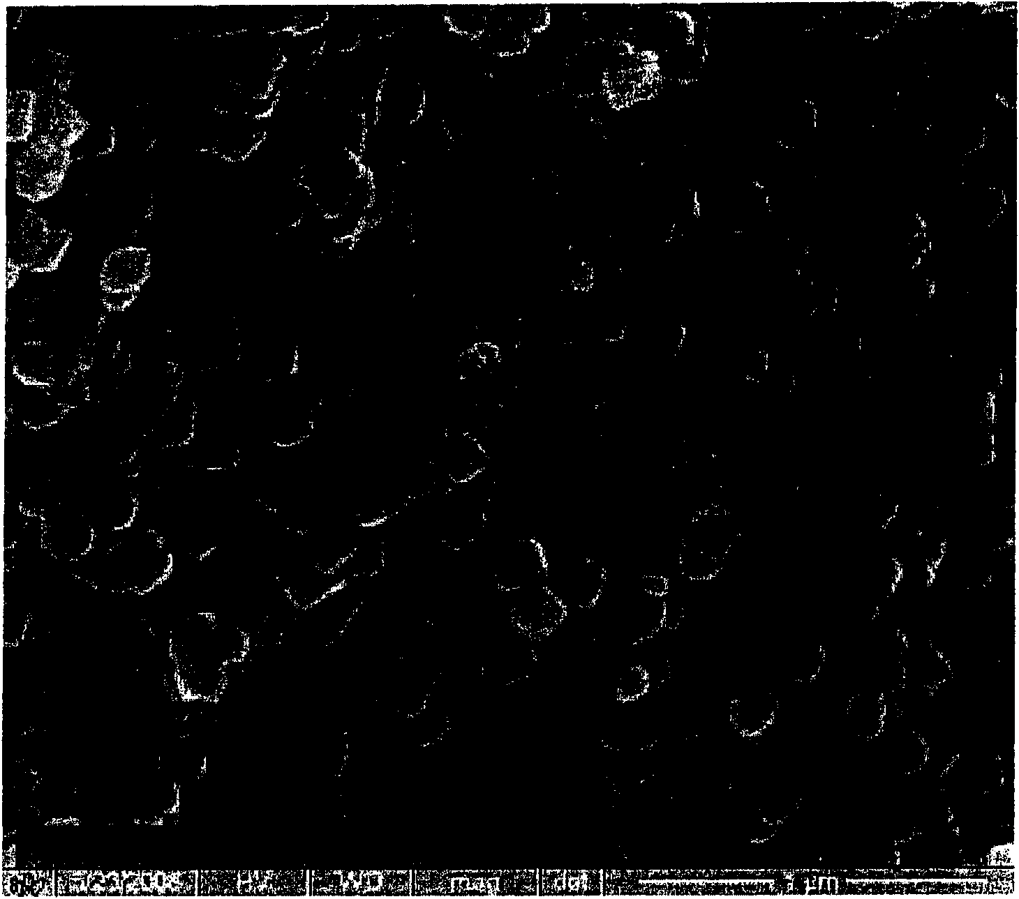 Method for manufacturing metal nanometer particle