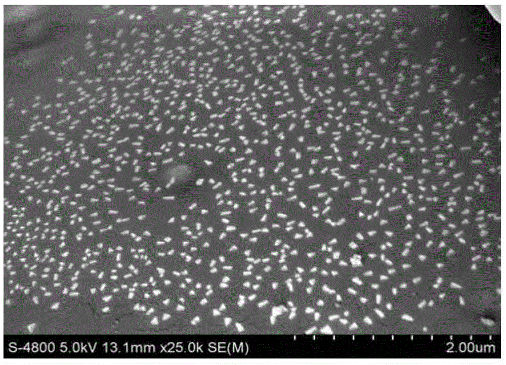 Production method of fish collagen peptide chelated calcium