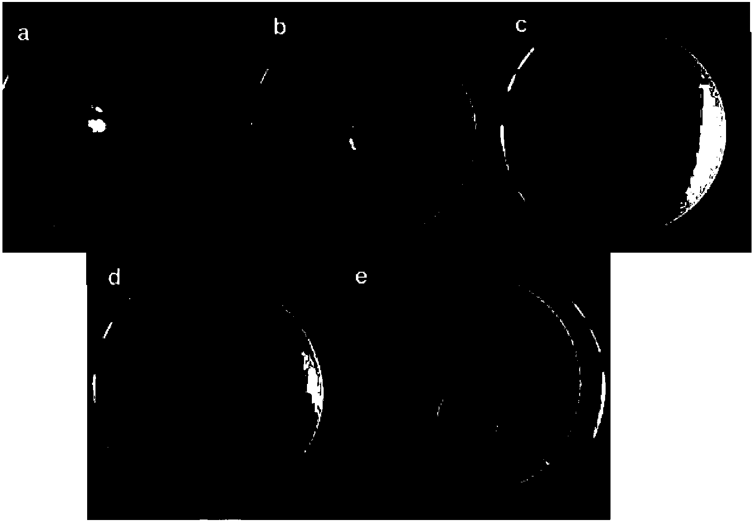 Method for preparing water-retaining agent for selectively fixing heavy metal in soil