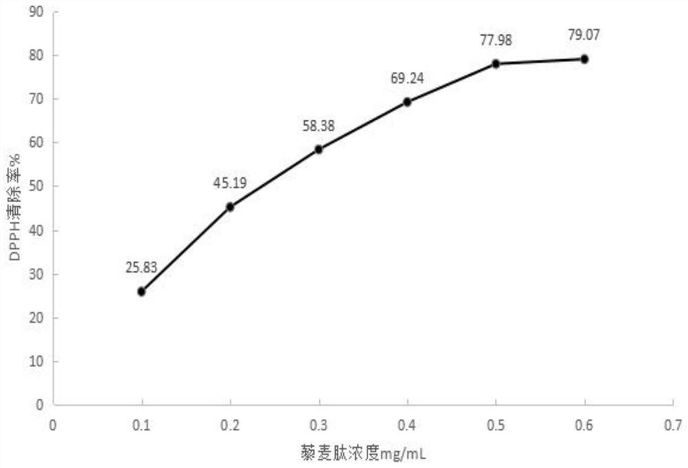 Quinoa peptide with whitening and antioxidant activity as well as preparation method and application thereof